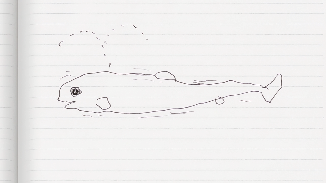 Saishuu Shiken Kujira (Fansubber)